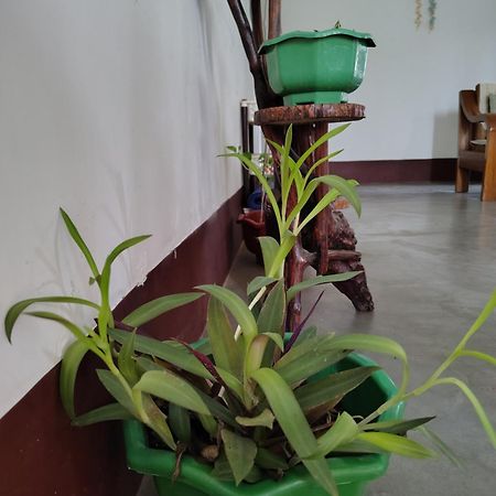 Gayatri Homestay Dibrugarh Kültér fotó