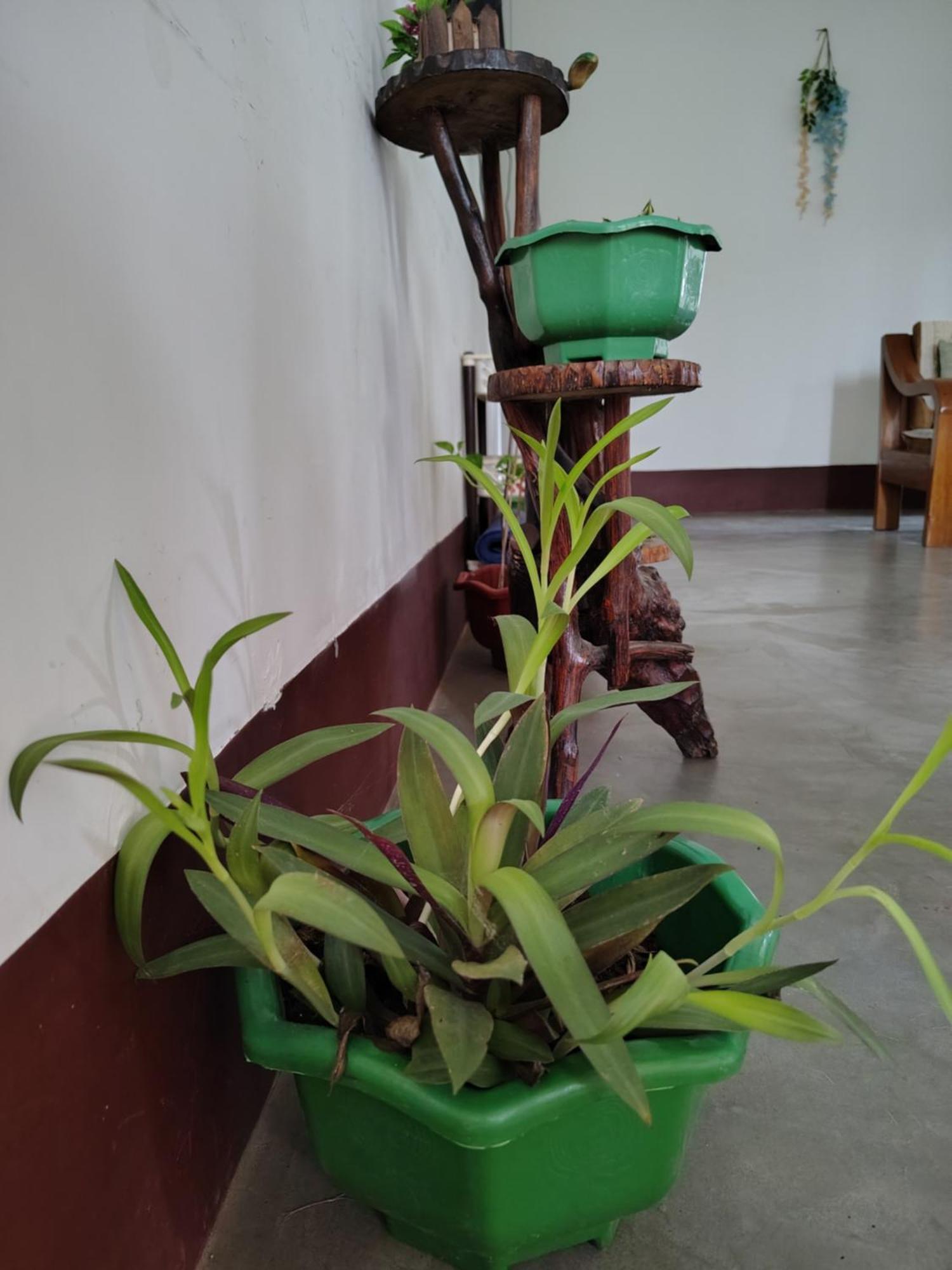 Gayatri Homestay Dibrugarh Kültér fotó